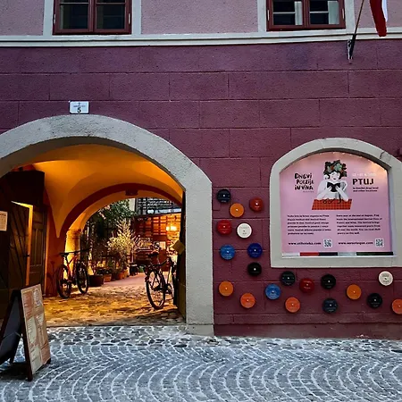 Bed & Breakfast Muzikafe - Of Culture Ptuj