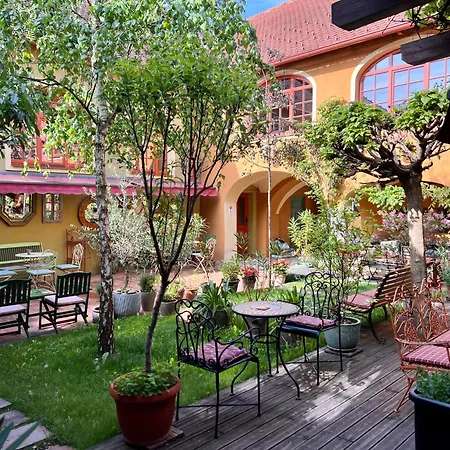 Muzikafe - Of Culture Bed & Breakfast