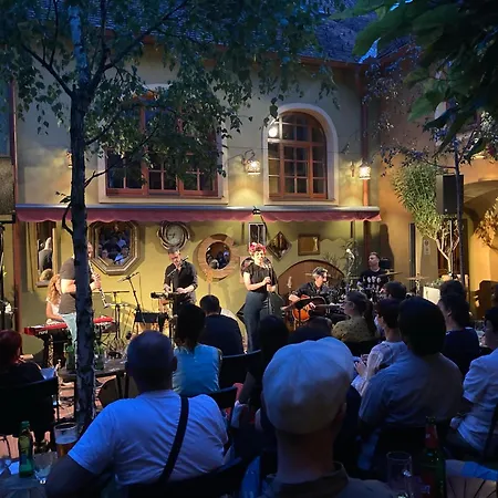 Muzikafe - Of Culture * Ptuj