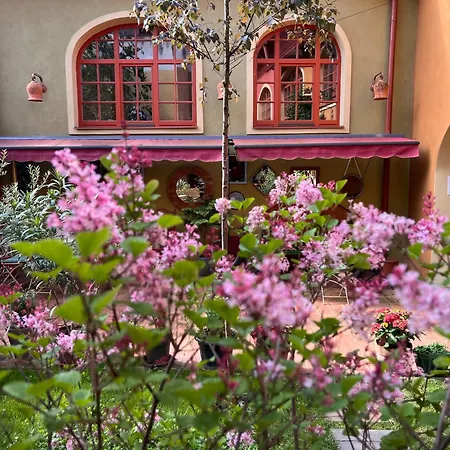 Muzikafe - Of Culture Bed & Breakfast *