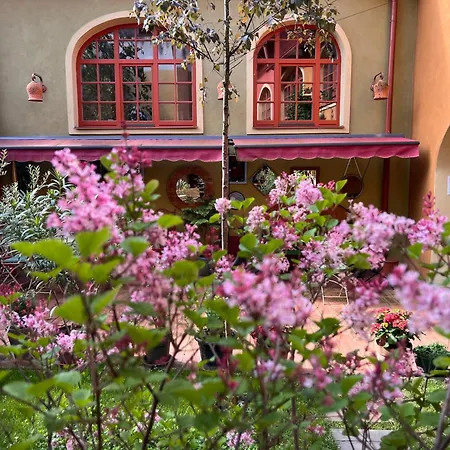 Muzikafe - Of Culture ベッド・アンド・ブレックファスト 3*