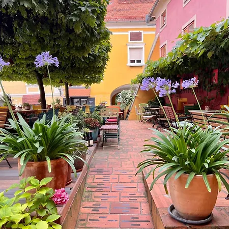Bed & Breakfast Muzikafe - Of Culture