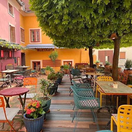 Muzikafe - Of Culture * Ptuj