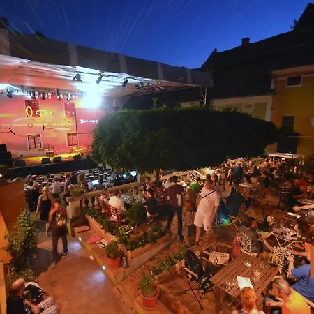 Bed & Breakfast Muzikafe - Of Culture Ptuj