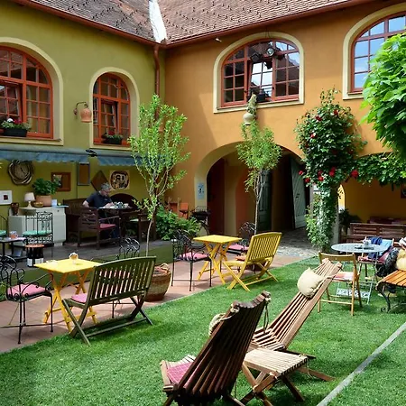 Bed & Breakfast Muzikafe - Of Culture Ptuj