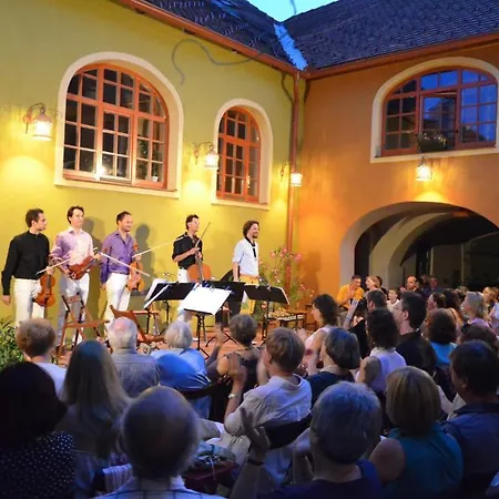 Bed & Breakfast Muzikafe - Of Culture Ptuj