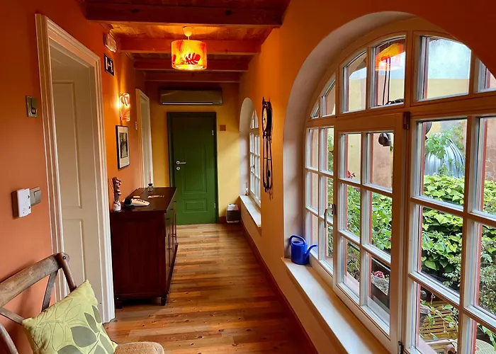 Muzikafe - Of Culture Ptuj