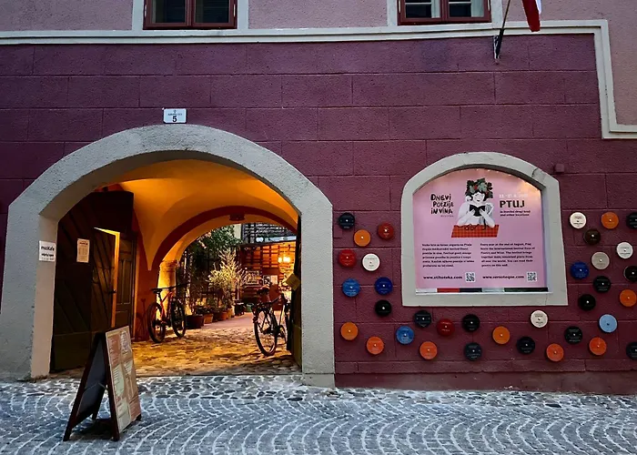 Bed & Breakfast Muzikafe - Of Culture Ptuj