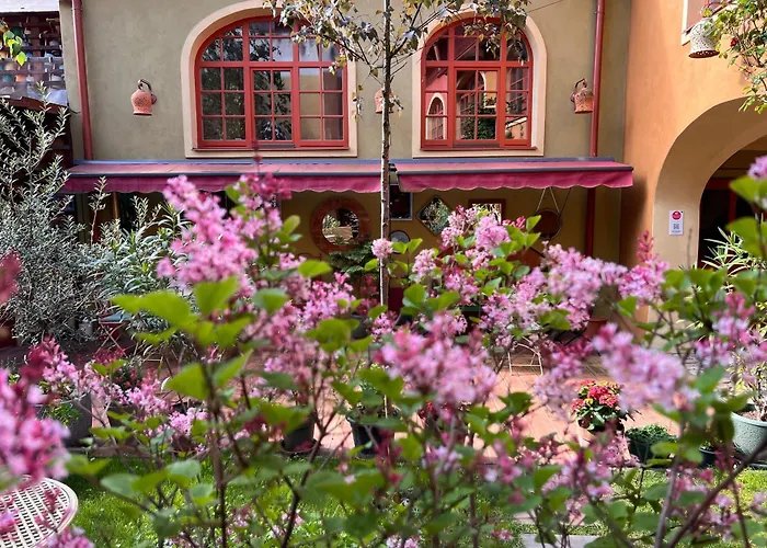 Muzikafe - Of Culture Bed & Breakfast 3*