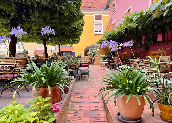 Bed & Breakfast Muzikafe - Of Culture